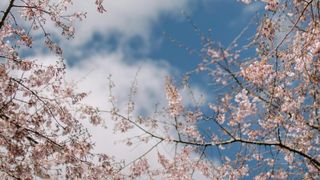 Cum va fi vremea de Paște. Prognoza meteo a fost actualizată pentru toată țara