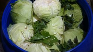 De ce se &icirc;nmoaie varza murată. Trucuri pentru a o păstra crocantă și gustoasă