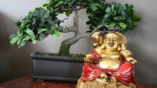 Cum să-ți aranjezi casa ca să atragi bani &icirc;n 2026. Locul prin care energia intră &icirc;n interior