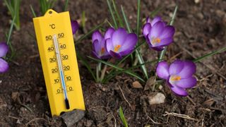 Cum va fi vremea &icirc;n următoarea perioadă. Meteorologii anunță schimbări radicale