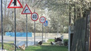 Ce este indicatorul cu casă, mașină și copil și ce trebuie să facă orice șofer