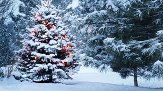 Primul Crăciun cu zăpadă &icirc;n București, după 13 ani