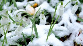 Zonele &icirc;n care se &icirc;ntoarce iarna. Prognoza meteo actualizată