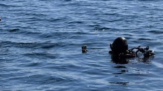 Meseriile care nu necesită diplomă de studii, dar se plătesc regește