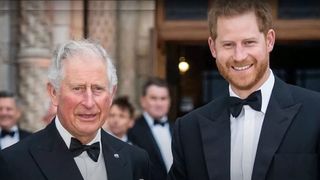 Regele Charles și Prințul Harry, la un pas de împăcare. Crăciunul, cea mai bună oportunitate