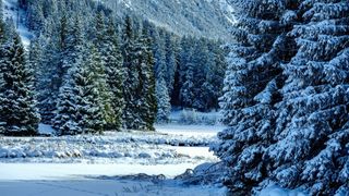 Fenomen neobișnuit la mijlocul iernii. Temperaturi ridicate la altitudini mari, ger &icirc;n zonele joase