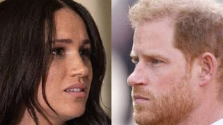 Semne de distanțare &icirc;ntre Meghan Markle și Prințul Harry din cauza banilor