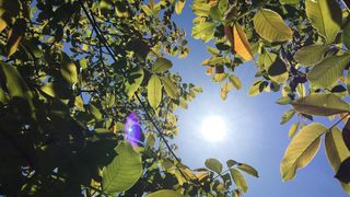 C&acirc;nd vine vara. Prognoza meteo pentru luna iunie