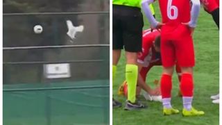 Un fotbalist a resuscitat &icirc;n timpul partidei un pescăruș lovit de minge: A fost mai important dec&acirc;t promovarea