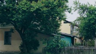 Greșeala care &icirc;i costă scump pe proprietarii de case. Ce spune legea despre pomii vecinului