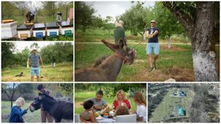 Dragoş Bucur şi Dana Nălbaru, anunţ la după doi ani după ce s-au mutat la ţară