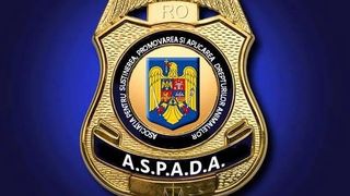 Update în cazul bărbatului care și-a amenințat câinele în Sectorul 1. Care este părerea unui dresor de câini despre această situație?