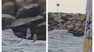 VIDEO Mărturia salvamarului care a fost ÎN MIJLOCUL INTEVENȚIEI de la Costinești. Detalii tulburătoare despre DRONA observată în mare lângă stabilopozi:"Poate să fie un pericol oricând. Este încărcată cu..."