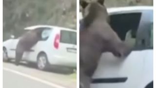 VIDEO Scene neașteptate pe Transfăgărășan, surprinse în imagini. Un urs A FĂCUT PRĂPĂD la o mașină, iar momentul când animalul a început să o distrugă i-a lăsat pe MARTORI FĂRĂ REACȚIE. Ce a urmat și ce s-a întâmplat cu proprietarii autoturismului