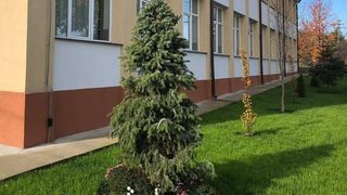 DOLIU în Cristinești, după moartea lui Gheorghe Jitariu, fost profesor al Școlii Gimnaziale „Ioan Murariu”. Numele dascălui este legat, de acum, de AMINTIREA UNEI DESPĂRȚIRI DUREROASE: "Cu inimile îndurerate, suntem..."