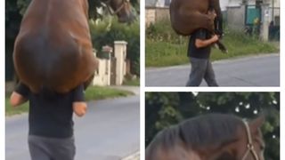 VIDEO Imaginile care i-au făcut pe mii de oameni să se întrebe: "Cum este posibil?". Un bărbat A FOST SURPRINS în timp ce își căra calul obosit pe umeri: "Doamne! Nu are cum. Calul are o greutate foarte mare. Abia..."