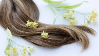 (P) 	Cum să &icirc;ți &icirc;ngrijești scalpul și părul: obiceiuri și ingrediente cosmetice