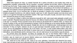 UPDATE Ce subiecte au picat la proba scrisă la Limba și literatura rom&acirc;nă, la Evaluarea Națională 2026