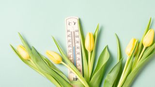 Prognoza meteo ANM pentru vineri, 6 martie 2026. Meteorologii anunță temperaturi de primăvară