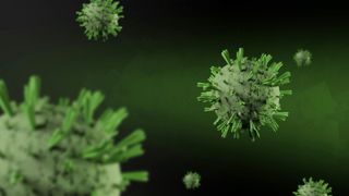 Numărul cazurilor de hantavirus crește alarmant! Ce spun specialiștii Organizaţiei Mondiale a Sănătăţii