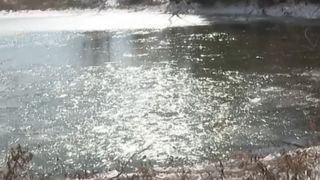 Trei frați de 6, 8 și 9 ani au murit sub ochii mamei lor după ce au căzut &icirc;ntr-un lac &icirc;n... Vezi mai mult