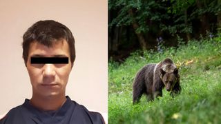Cine este bărbatul de 34 de ani găsit fără viață după ce ar fi fost sf&acirc;șiat de un&nbsp;urs &icirc;n județul Sibiu