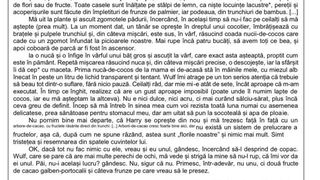 UPDATE Ce subiecte au picat la proba scrisă la Limba și literatura rom&acirc;nă, la Evaluarea Națională 2026