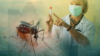 Au crescut cazurile de West Nile &icirc;n Rom&acirc;nia. Bucureștiul &icirc;n topul orașelor celor mai afectate din țară