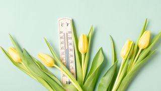 Prognoza meteo ANM pentru vineri, 6 martie 2026. Meteorologii anunță temperaturi de primăvară