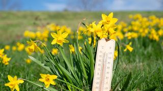 Meteorologii ANM au emis prognoza meteo pentru următoarele patru săptăm&acirc;ni. Urmează o perioadă cu temperaturi peste valorile normale și precipitații reduse