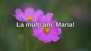 Mesaje de Sfânta Maria Mare 2025: Cele mai frumoase urări pentru data de 15 august