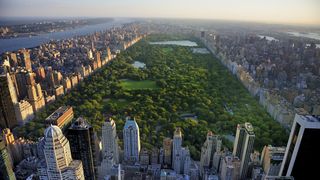 Incident grav &icirc;n Central Park. Un t&acirc;năr de 18 ani și-a pierdut viața după ce trăsura cu care se plimba s-a răsturnat