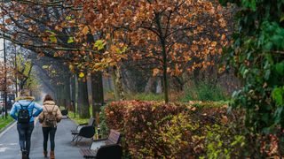 Prognoza meteo ANM pentru duminică, 25 octombrie 2026. Meteorologii anunță ploi, ceață și temperaturi de p&acirc;nă la 20 de grade. Cum va fi vremea &icirc;n București