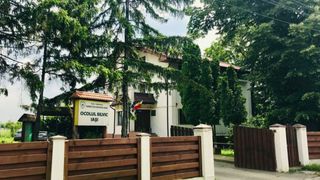 Se trece la măsuri dure! Amenzi uriașe și închisoare pentru tăierile ilegale de lemne!