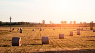 Proprietarii sunt vizați de noi reguli! Ce obligații au dacă pe teren există un stâlp de electricitate!