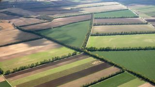 Obligații fiscale pentru proprietarii de terenuri agricole! Reguli clare pentru veniturile din arendă!