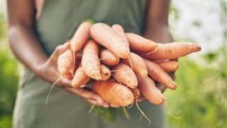Singura țară care produce suficientă m&acirc;ncare pentru locuitorii ei