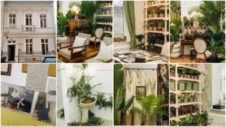 O vilă istorică din București, cu o poveste fascinantă, e virală după ce a fost umplută cu 1.000 de ghivece. Cum arată Casa Plantelor