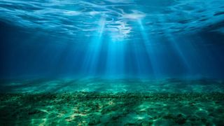 În toate oceanele lumii, dar și în Marea Mediterană, au fost descoperite genele rezistente la antibiotice