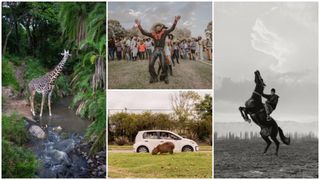 Cele mai spectaculoase imagini de la premiile Sony World Photography Awards 2026. Oameni, animale, povești și peisaje amețitoare