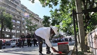 Un apicultor capturează un roi de albine de pe trotuar, la Piața Romană din București: Imagini cu &bdquo;intervenția&rdquo; de pe artera aglomerată