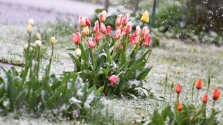 Alerte meteo &icirc;n aproape toată țara, &icirc;n Săptăm&acirc;na Mare: Va ninge, iar &icirc;n unele zone se depune zăpadă. Hărți cu județele sub cod galben