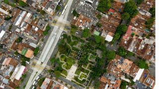 Columbia a plantat 880.000 de copaci pe străzile unui oraș ca să combată creșterea temperaturilor. Zonele umbrite s-au răcit și cu 5°C