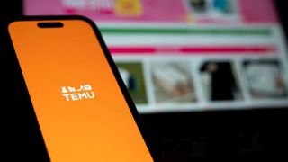 Ce a primit, de fapt, un bărbat care a comandat un laptop de 460 de lei de pe Temu