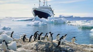 Se caută frizeri, bucătari și electricieni &icirc;n Antarctica, cu salariu de la 35.000 de euro pe an. Ce implică munca la - 40 de grade