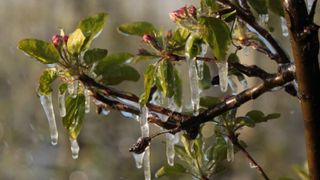 Un val de aer polar ajunge peste Rom&acirc;nia, luna aceasta. C&acirc;nd se răcește vremea &icirc;n martie: Prognoza ANM arată și inversiuni termice