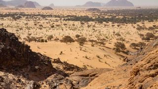 Au tot plantat copaci &icirc;n Sahara și au eșuat. Apoi au eliberat 500 de țestoase, iar deșertul a &icirc;nverzit, vizibil chiar și din satelit