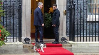 „Lăsați-l să intre, e frig”. Motanul Larry, vedeta zilei la întâlnirea aliaților cu Zelenski. A fost mai fotografiat decât Macron