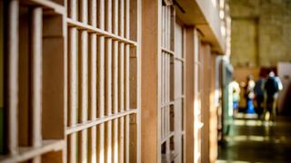 Revoltă mare în Austria după ce s-a aflat că statul plătește lunar 55.000 de euro pentru un deținut de 300 de kilograme