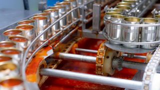 Fabrica în care se lucrează doar 70 de zile pe an, dar produce 777 de milioane de euro. Produsele se vând și în România